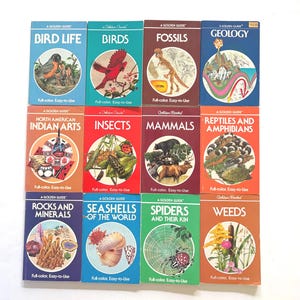May include: A collection of twelve vintage A Golden Guide softcover books arranged in a grid. Titles include Bird Life, Birds, Fossils, Geology, North American Indian Arts, Insects, Mammals, Reptiles and Amphibians, Rocks and Minerals, Seashells, Spiders, and Weeds.