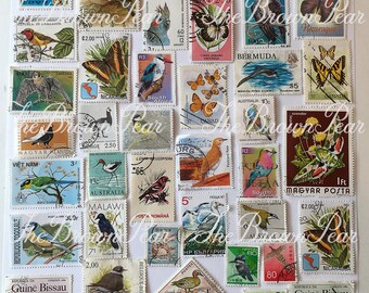 Francobolli stampabili / **DOWNLOAD ISTANTANEO** ephemera Printable Bird & Butterfly Stamps Foreign / journal, collage clipart 4 Pagine