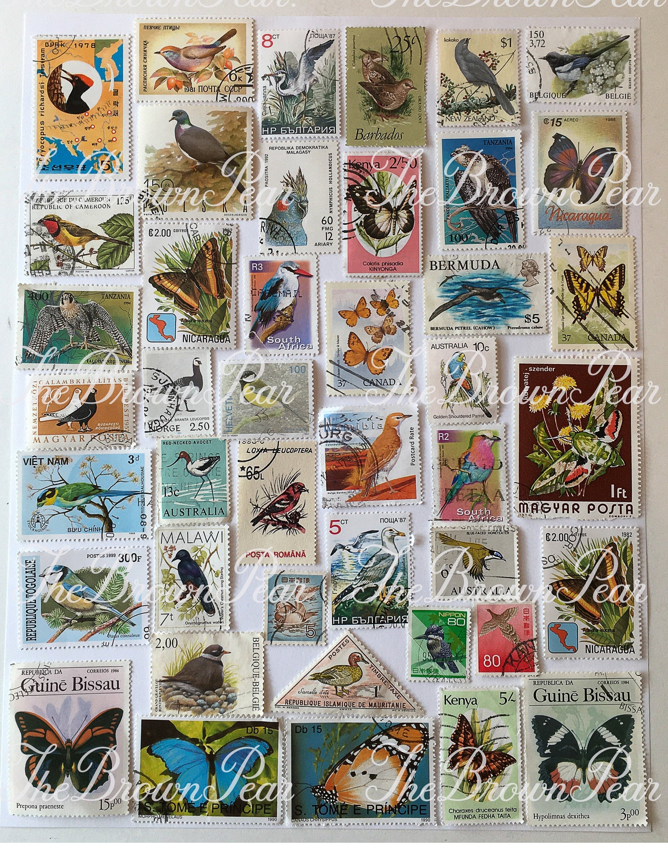 Foreign poste - Etsy 日本