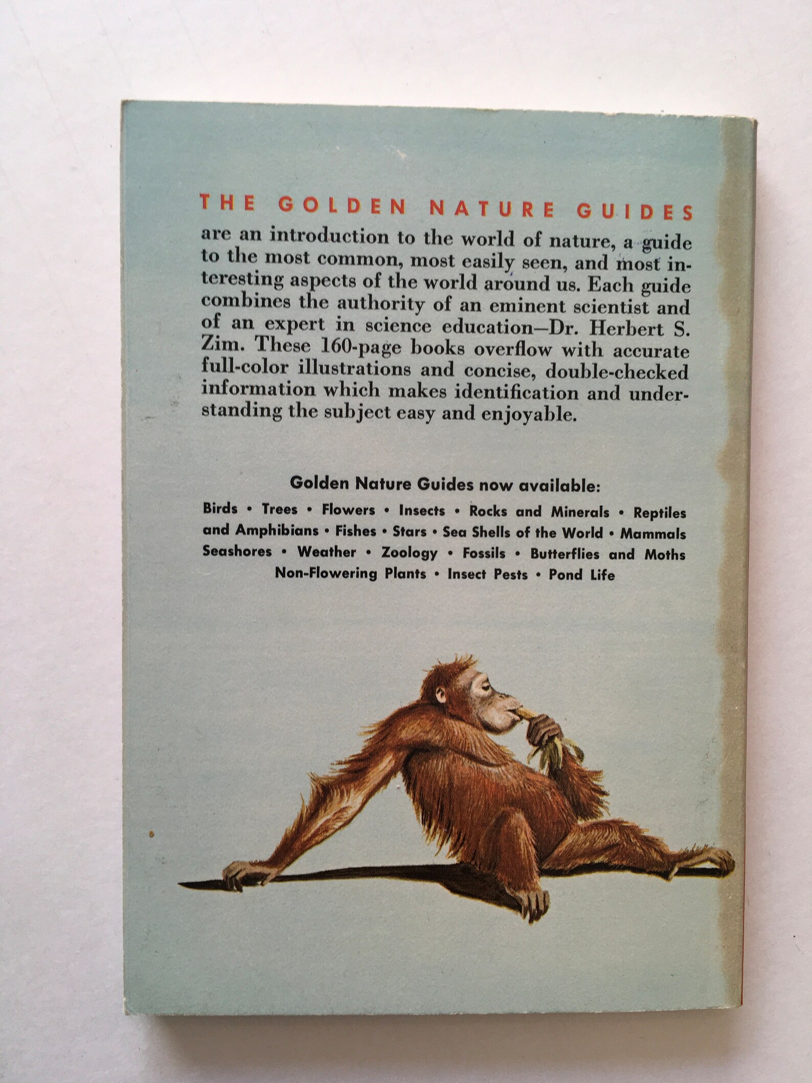 Animal Book / Vintage ZOO Animals Golden NATURE Guide 24019 Etsy
