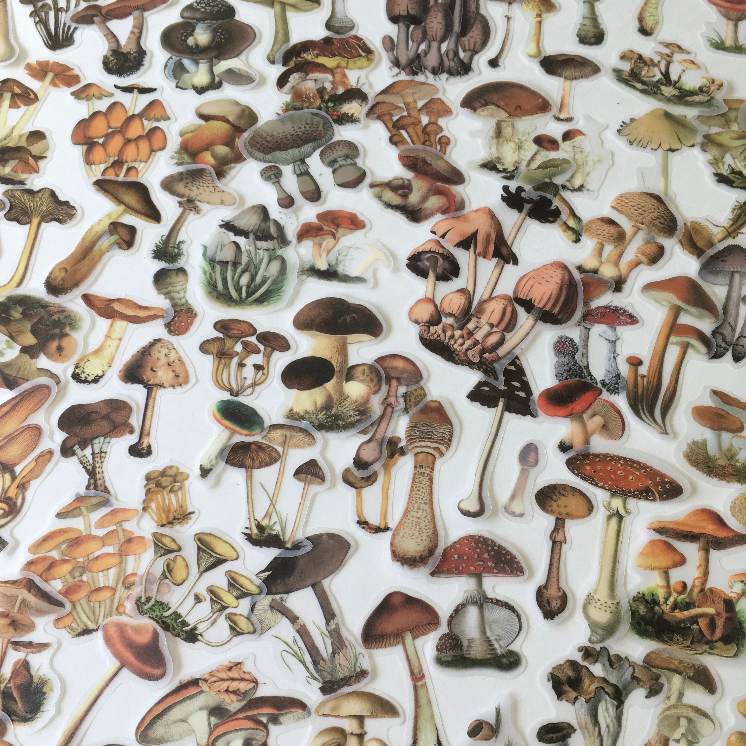 MUSHROOM Stickers /  100 Mushroom Die Cut Stickers / Vellum Mushroom Pieces Great for Journals, Collage, Scrapbooks