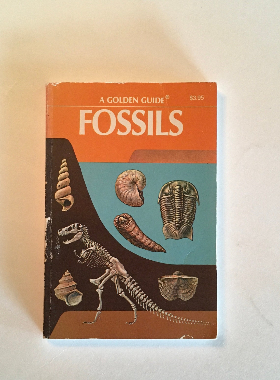 FOSSILS book / Vintage Golden Guide FOSSILS 24411 Softcover Etsy