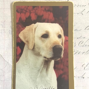 Dog Card / 1 Vintage Labrador Dog Playing Card -- Great Ephemera for Card Making, Journals, Collage, Smash Books, Altered ARt, etc.