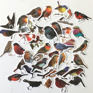 BIRD Stickers / 40 Bird stickers Scrap Pieces great for Altered Art, Collage, Scrapbook, Journals++