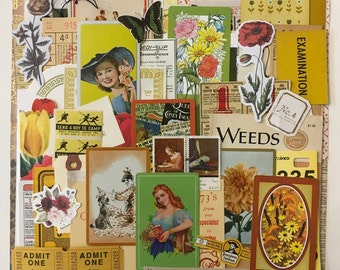 Scrap Pack / 55 pc. Scrap Kit Ephemera Paper Pieces Garden Theme Great for Mixed Media Inspiration Kit, Collage, Altered Art