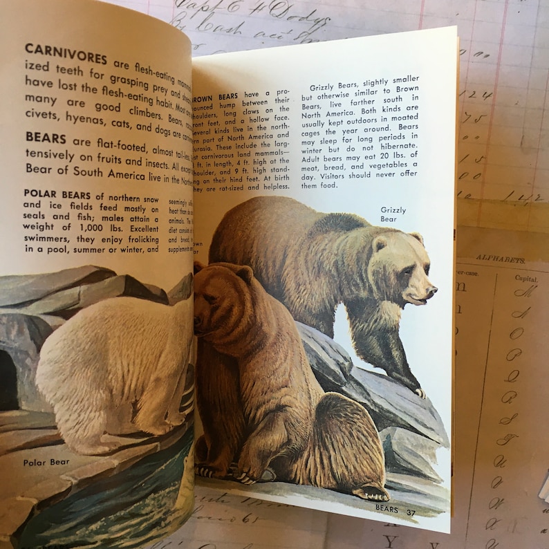 Animal Book / Vintage ZOO Animals Golden NATURE Guide 24019 Etsy