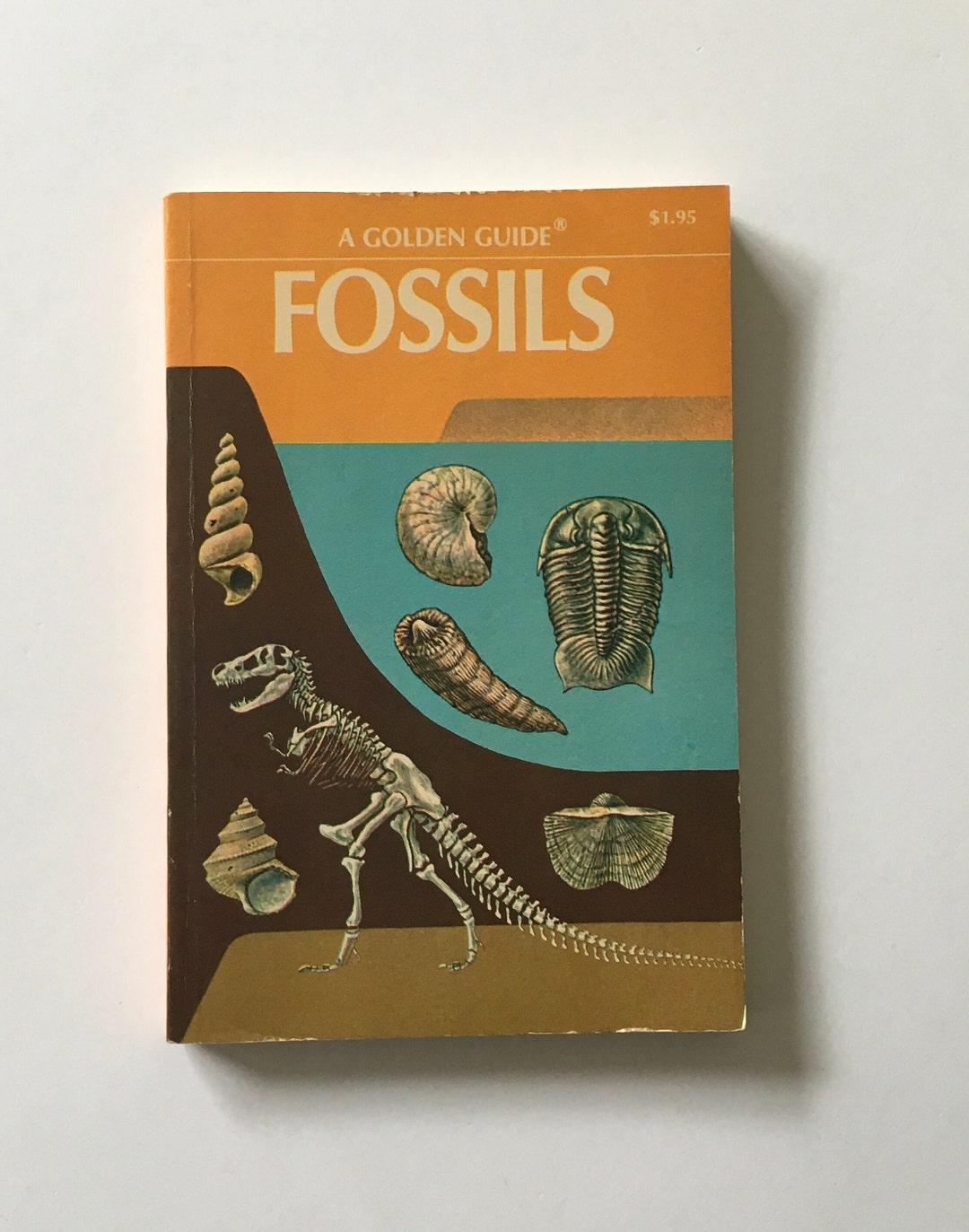 FOSSILS Book / Vintage Golden Guide FOSSILS 24411 Softcover Etsy