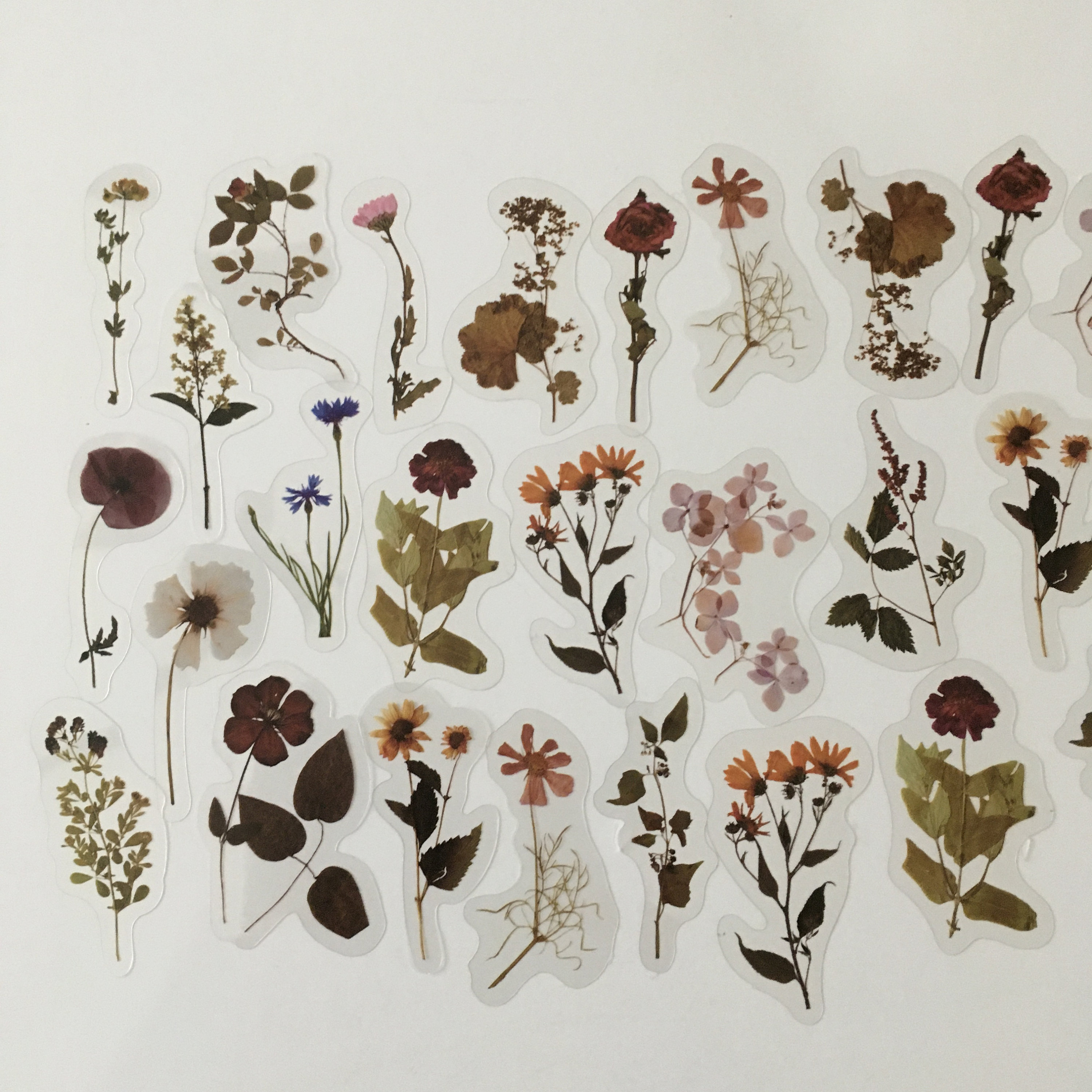 40pcs/pack Vintage Lacquer Plant Dried Flower Stickers, Creative  Scrapbooking Diy Decoration For Journal Album