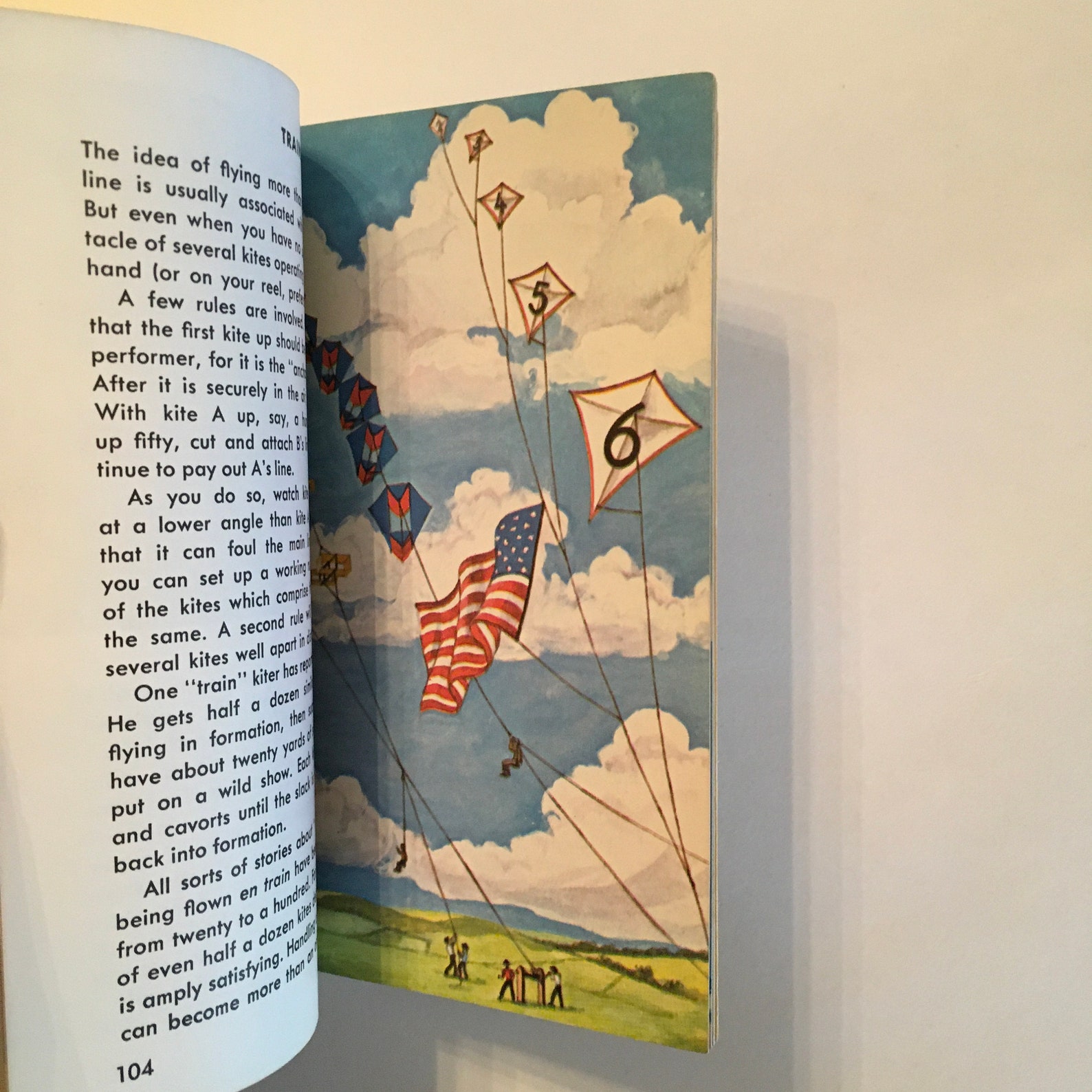 KITES book / Vintage Golden Guide 2434 KITES w/ Illustrations Etsy