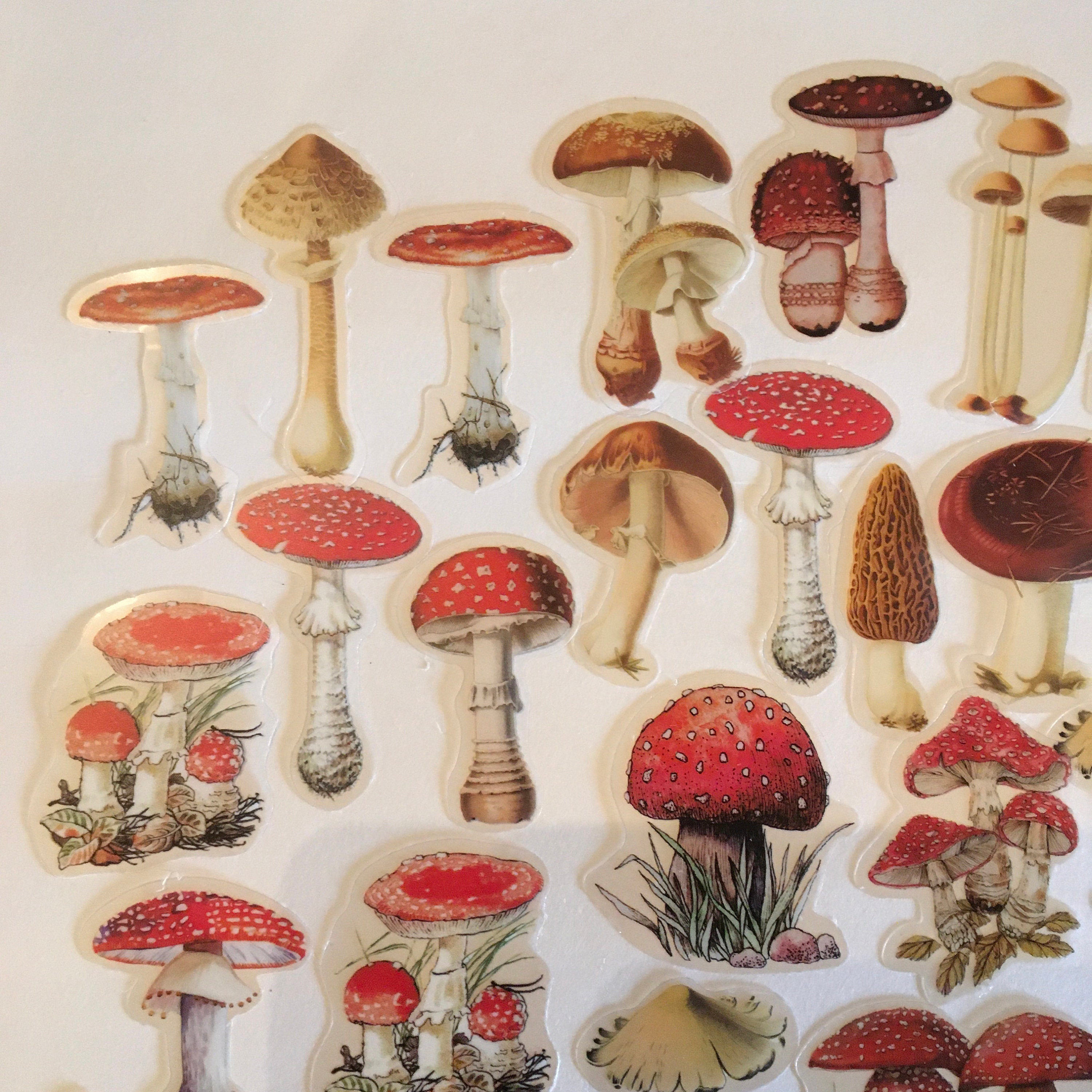 MUSHROOM Stickers 40 pc. MUSHROOM Stickers DIY Kit for Mixed Etsy