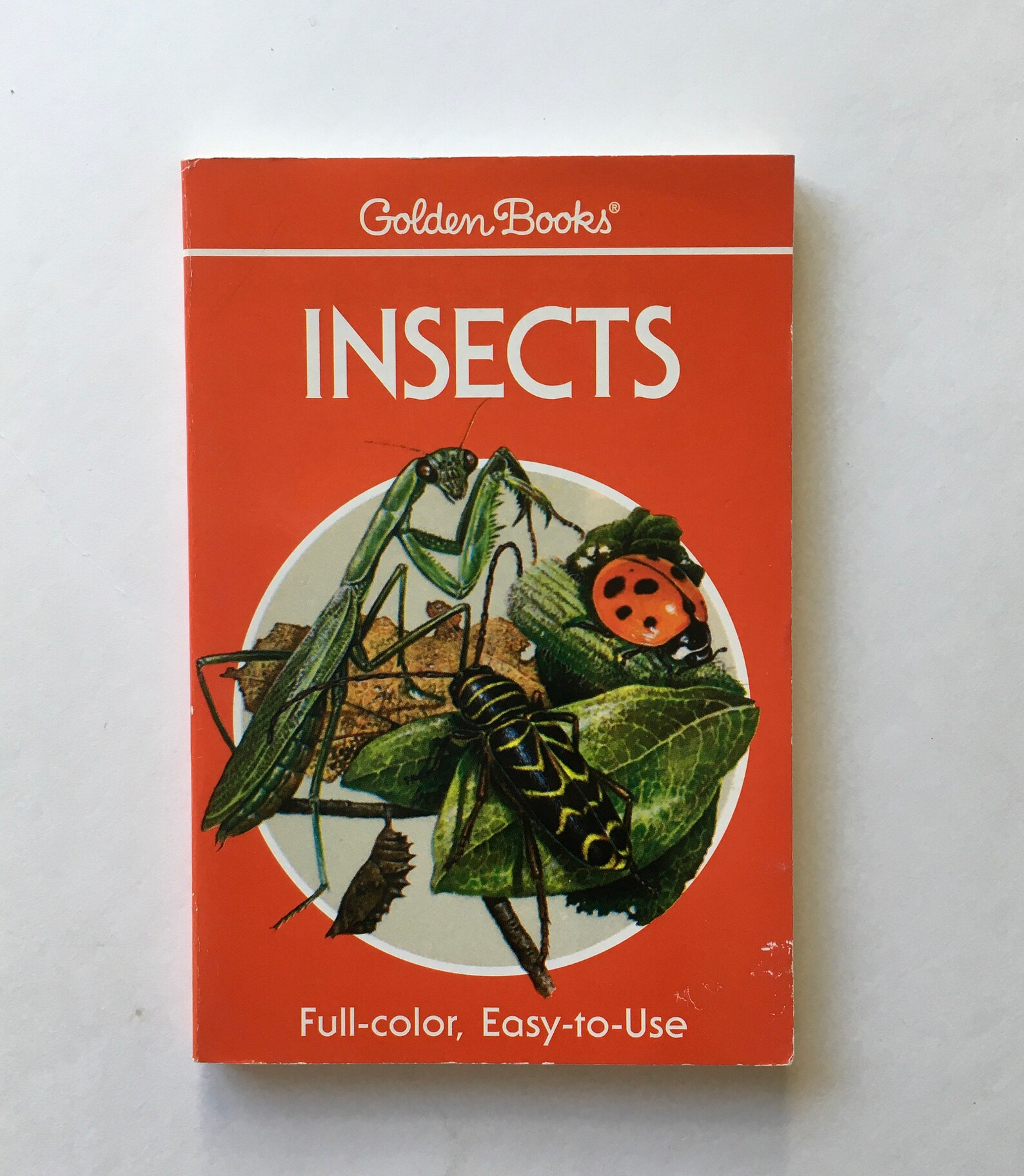 INSECTS book / Vintage INSECTS Golden Guide 240554 w/Color Etsy