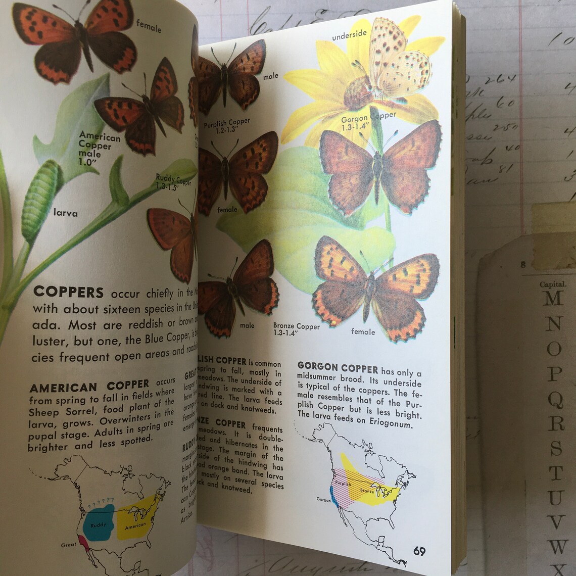 Butterfly book / Vintage Golden Guide 2440524 w/Color Etsy