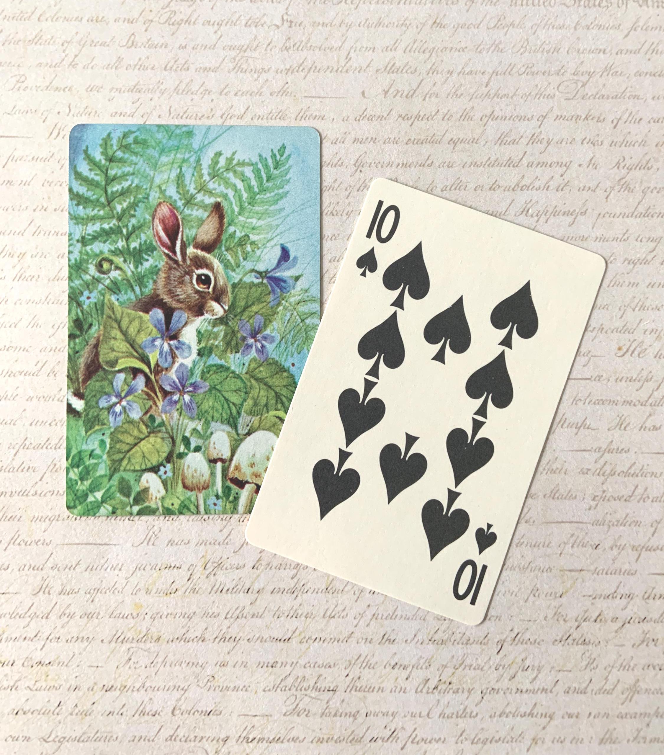 Brer Rabbit Playing Cards Squirrel & Rabbit Cards / 2 Vintage Cute Woodland Squirrel and Rabbit ...