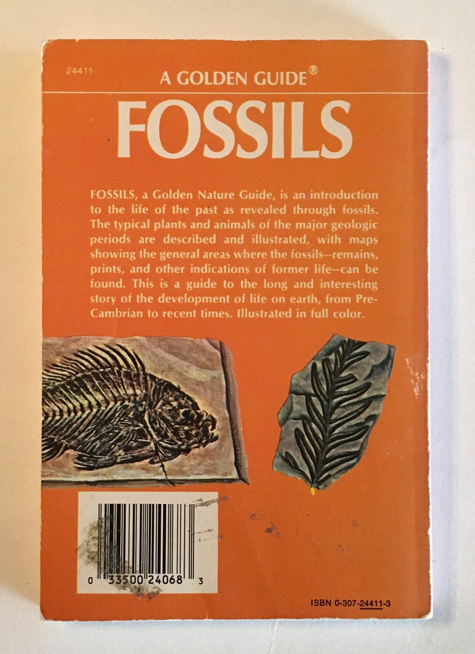 FOSSILS book / Vintage Golden Guide FOSSILS 24411 Softcover Etsy