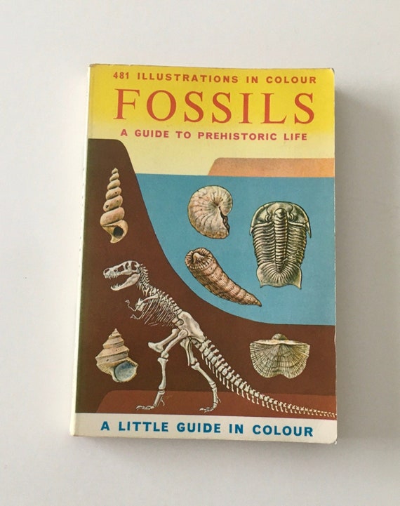FOSSILS Book / Vintage FOSSILS Guide to Preshistoric Life by Etsy