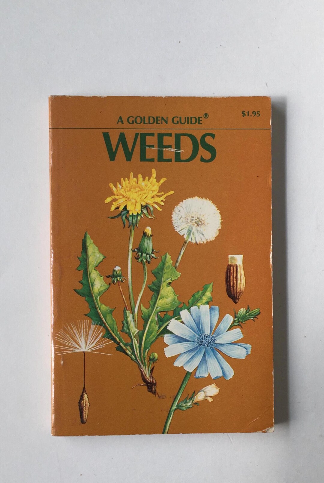 WEEDS Book / Vintage Golden Guide WEEDS W/ Illustrations in Full Color ...