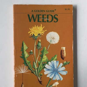 WEEDS Book / Vintage Golden Guide WEEDS W/ Illustrations in Full Color ...