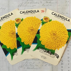 Flower Seed Packets-EMPTY / 3 Vintage Calendula Seed Label packets 3.25&quot; x 5&quot; Great for Mixed Media, Journals+