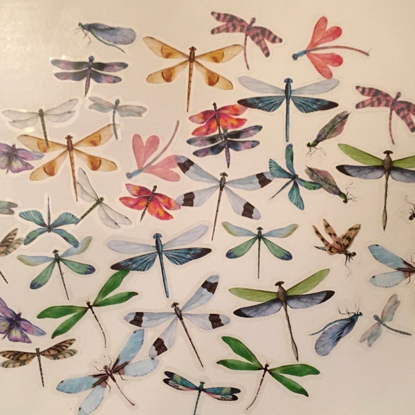 DRAGONFLY Stickers /  40 Die Cut Stickers / Vinyl DRAGONFLY  Pieces Great for Altered Art, Collage, Scrapbook, Smash Books, Etc.