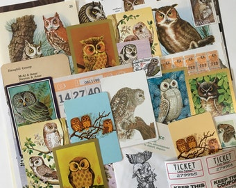 Bird SCRAP PACK / 60 pc. OWL Ephemera Nature Theme Scrap Kit Paper Pieces Great Neutral Scrap Pack for Journals, Collage, etc.