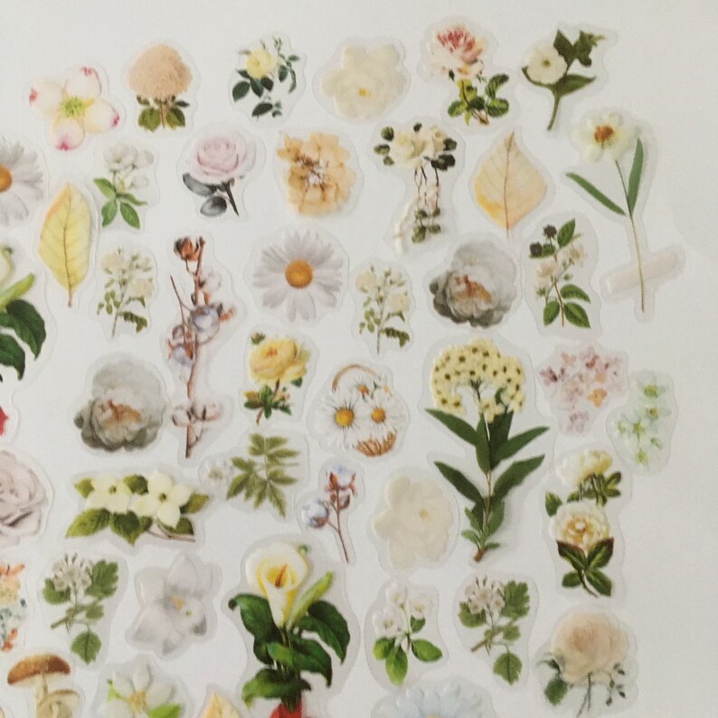 以下が含まれることがあります： 白とクリーム色の花柄が様々なデザインで描かれた透明なステッカーシートです。ジャーナル、プランナー、その他のクラフトプロジェクトに上品さを加えるのに最適です。