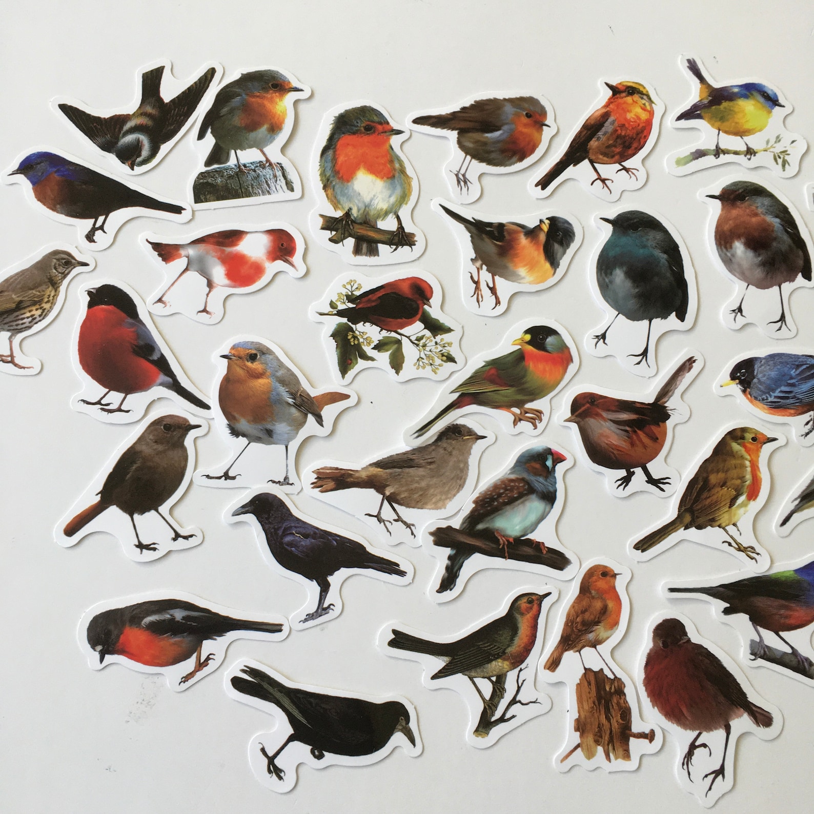 BIRD Stickers / 40 Bird stickers Scrap Pieces great for Etsy 日本