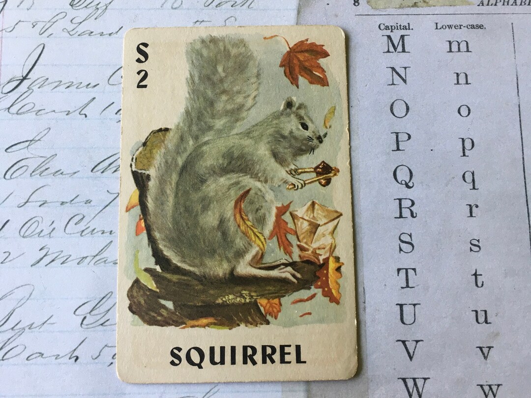 Squirrel Card / 1 Vintage Squirrel Animal Playing Card --great for ...