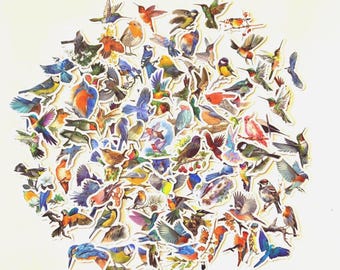 BIRD Stickers / 100 Bird stickers Scrap Pieces -- great for Altered Art, Collage, Scrapbook, Journals++