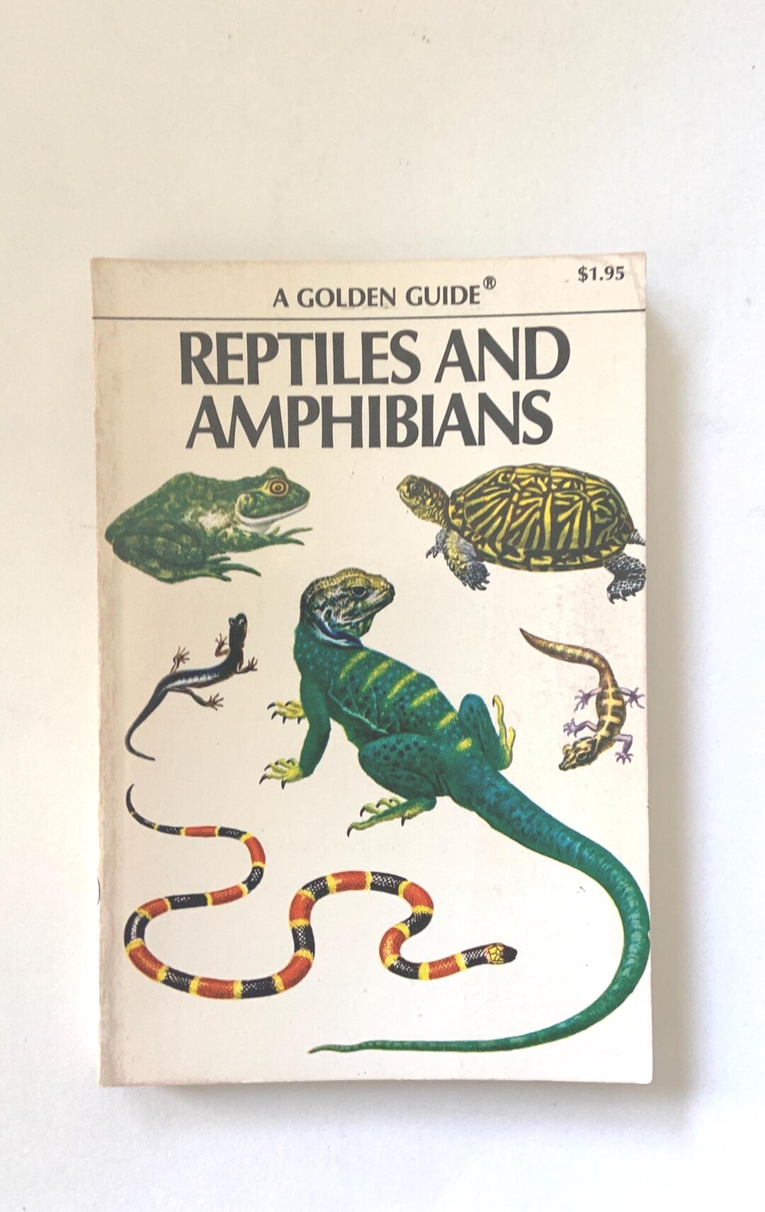 Old Nature Guide REPTILES & AMPHIBIANS Vintage Golden Nature Guide #24495 W/species in ...