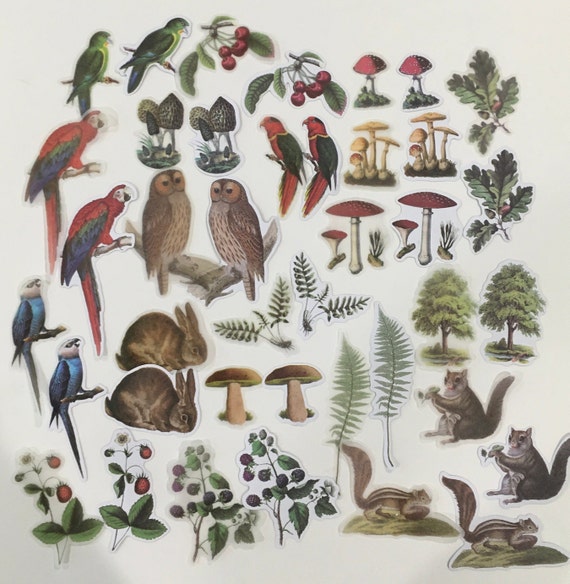 Woodland Stickers Animals Plants and Birds 40 Pcs. Great - Etsy Norway Woodland Stickers Animals Plants and Birds 40 Pcs. Great - Etsy Norway