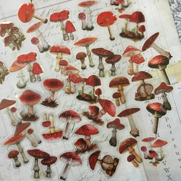 MUSHROOM Stickers 40 pc. MUSHROOM Stickers DIY Kit for Mixed Media, Collage, Journals, Altered Art