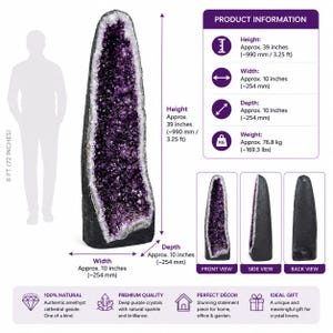 May include: A tall, dark-colored amethyst cathedral geode featuring deep purple crystals. The product information indicates a height of 39 inches, a width of 10 inches, a depth of 10 inches, and a weight of 169.3 lbs, with front, side, and back views shown.