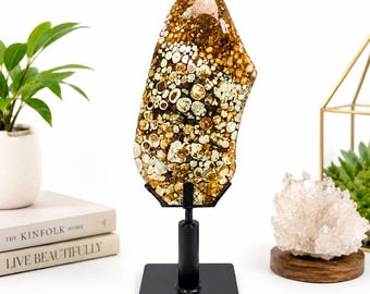 Rare King Cobra Jasper Flame Sculpture, Orbicular Gemstone Centerpiece, Polished Crystal Display