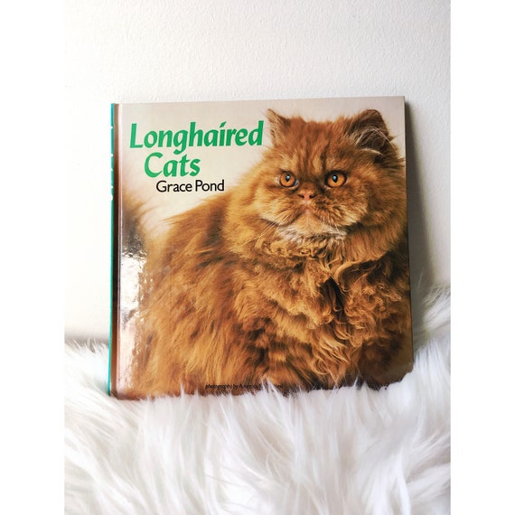 Cat Coffee Table Book - The 20 Best Coffee Table Books For Cat Lovers - The furniture is made of sturdy, treated wood that will provide years of service and still look good.