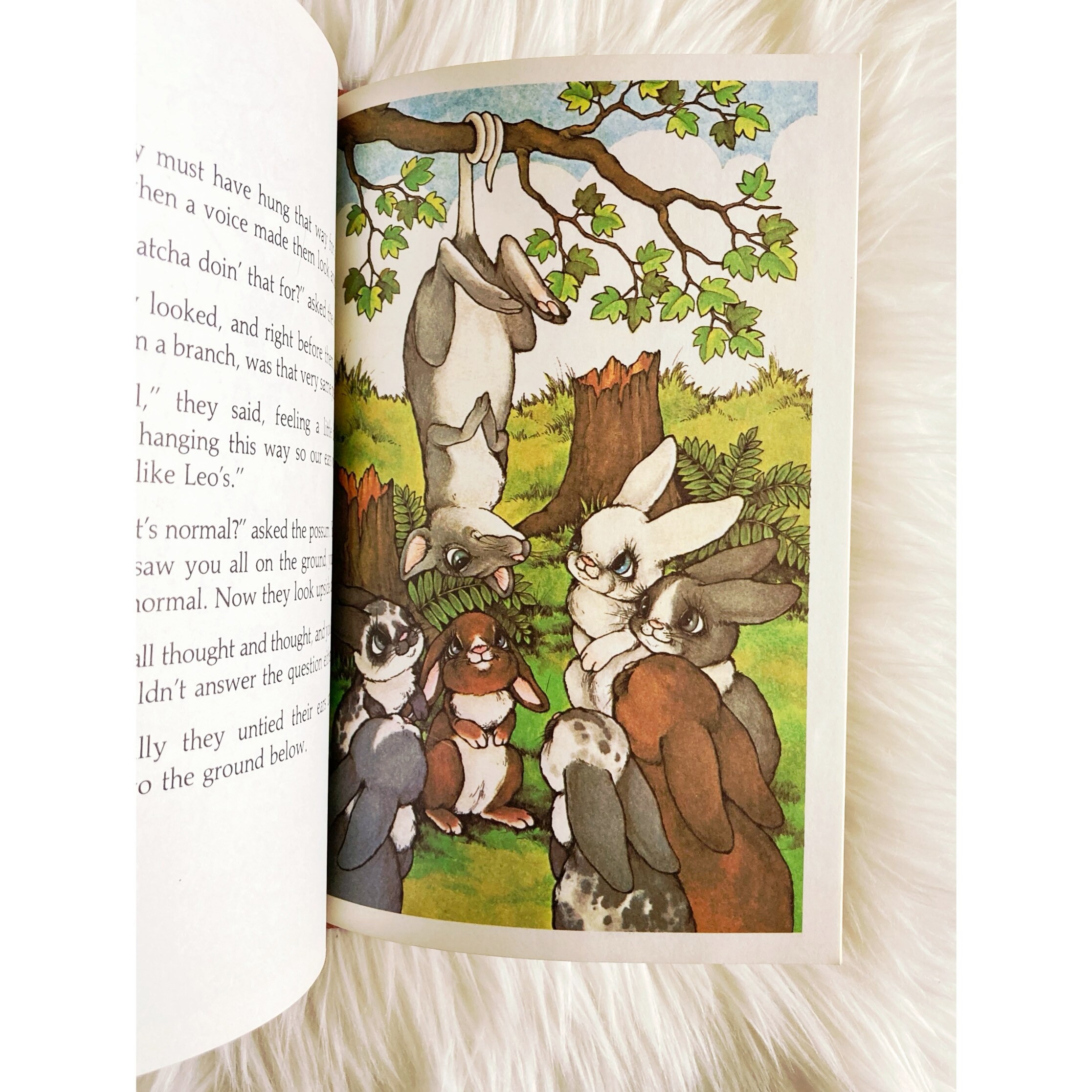 Serendipity Books Cat