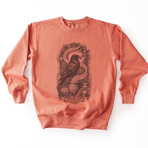 Front view of a terracotta vintage programmer sweatshirt featuring a dark graphic of a raven and binary code.