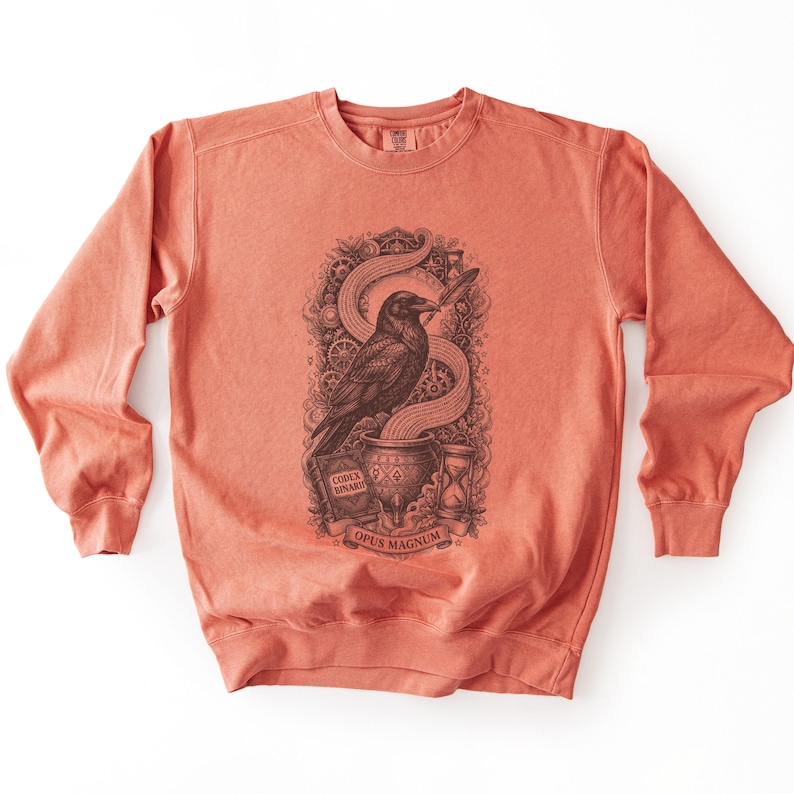 Front view of a terracotta vintage programmer sweatshirt featuring a dark graphic of a raven and binary code.