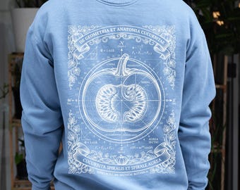 Sacred Geometry Pumpkin Hoodie Math Teacher Gift Botanical Anatomy Dark Academia Fall Graphic Sweatshirt