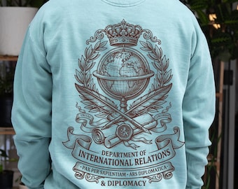 International Relations Hoodie Diplomacy Sweatshirt Political Science Major Gift Model UN College Apparel