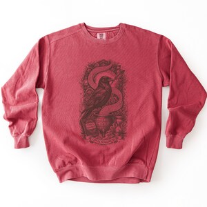 Faded red occult programmer sweatshirt displaying a dark brown raven and binary stream graphic.
