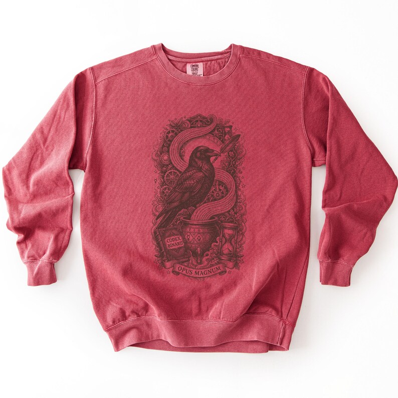 Faded red occult programmer sweatshirt displaying a dark brown raven and binary stream graphic.
