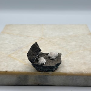 Pode incluir: Um fragmento de rocha cinzento-escuro e irregular, apresentando dois pequenos aglomerados circulares de cristais minerais brancos, fibrosos e em forma de agulha na sua superfície superior. O espécime tem uma textura rugosa e uma aresta.