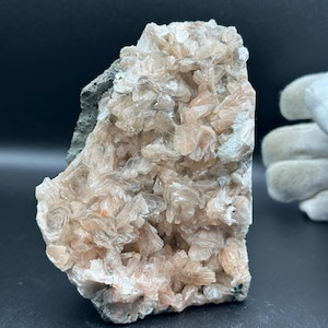 May include: A mineral specimen featuring a cluster of pale peach and translucent crystalline structures. The formation is attached to a dark gray, rough-textured rock matrix, showcasing a dense arrangement of sharp, angular crystal points.
