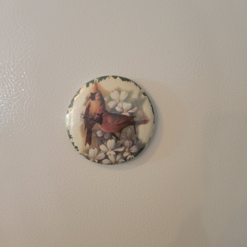 Capsicum - Handpainted Terracotta Magnet 09