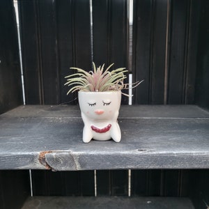 Pink small mermaid succulent planter with artificial air fern