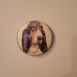 May include: A round button with a white background and a picture of a brown and black basset hound dog with a white patch on its chest.