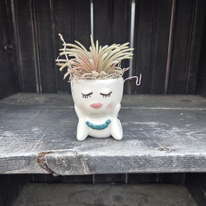 May include: A white ceramic planter shaped like a face with closed eyes and a pink mouth, holding a small air plant with green and reddish-brown leaves. The planter has a blue accent and is set on a dark wooden surface.