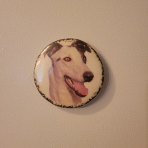 May include: A white and brown dog with black ears, looking to the right, is featured on a round, white magnet with a black border.
