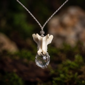 May include: A necklace featuring a white animal vertebra bone pendant suspended from a grey cord. A clear, spherical glass orb is encased in a grey macrame net and hangs directly below the bone, creating a layered, vertical pendant design.