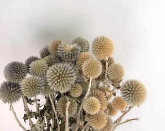 Dried Blue Thistle Flowers, Rustic Farmhouse Home Decoration, Vase Filler